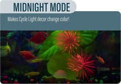 GloFish Aquarium Kit Fish Tank with LED Lighting and Filtration Included