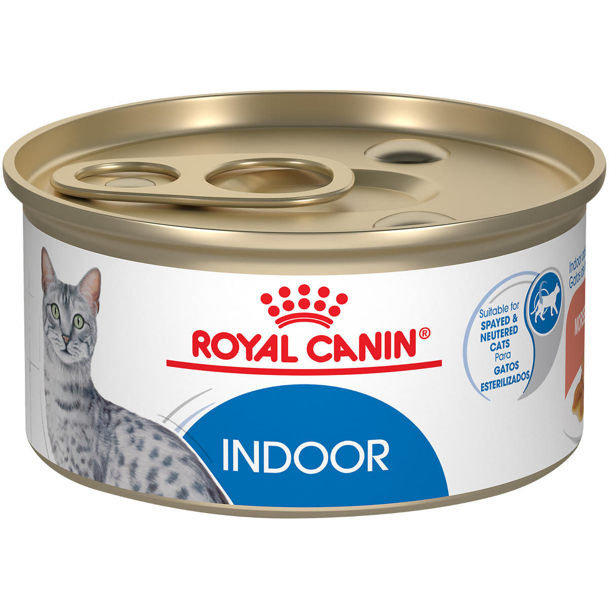 Royal Canin® Feline Health Nutrition™ Indoor Adult Morsels in Gravy Canned Cat Food, 3 oz