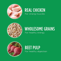 Iams Proactive Health Minichunks with Chicken & Whole Grain Recipe Adult Dry Dog Food