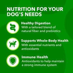 IAMS Minichunks Adult Dry Dog Food Lamb & Rice Recipe Dog Kibble