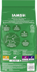 Iams 7LB Chuck Dog Food