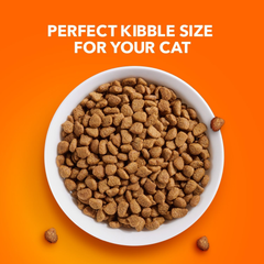 IAMS Proactive Health Adult Sensitive Digestion & Skin Dry Cat Food with Turkey