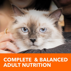IAMS Proactive Health Adult Sensitive Digestion & Skin Dry Cat Food with Turkey