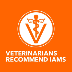 IAMS PROACTIVE HEALTH Healthy Senior Dry Cat Food with Chicken Cat Kibble