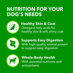 IAMS Proactive Health Adult Wet Dog Food Classic Ground with Lamb and Rice, 13 oz. Cans, Pack of 6
