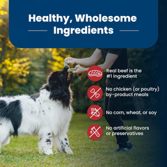 Blue Buffalo Life Protection Formula Adult Dry Dog Food, Helps Build and Maintain Strong Muscles, Made with Natural Ingredients, Beef & Brown Rice Recipe