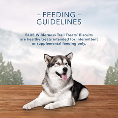 Blue Buffalo Wilderness Trail Treat Biscuits, Salmon