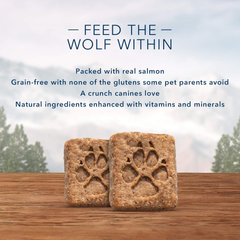 Blue Buffalo Wilderness Trail Treat Biscuits, Salmon