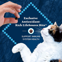 Blue Buffalo Wilderness Duck Supports Health and Wellness High-Protein & Grain-Free Healthy Adult Dry Cat Food