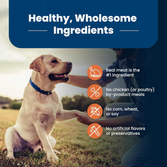 Blue Buffalo Life Protection Formula Large Breed Senior Dry Dog Food, Promotes Joint Health and Immunity, Made with Natural Ingredients, Chicken & Brown Rice Recipe