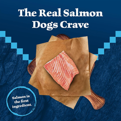 Blue Buffalo Wilderness Trail Treats Wild Bits Training Treats for Dogs, Grain-free Dog Treats, Salmon Recipe