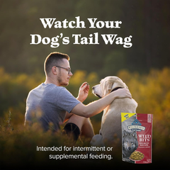 Blue Buffalo Wilderness Trail Treats Wild Bits Training Treats for Dogs, Grain-free Dog Treats, Salmon Recipe