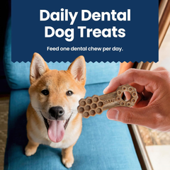 Blue Buffalo Medium Dental Chews for Dogs, Daily Dental Care Dog Treats Made in the USA with Natural Ingredients, Chicken & Spearmint