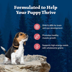 Blue Buffalo Wilderness High-Protein Natural Dry Food for Puppies, Salmon Recipe