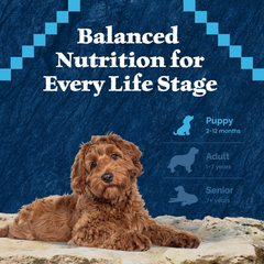 Blue Buffalo Wilderness High-Protein Natural Dry Food for Puppies, Salmon Recipe