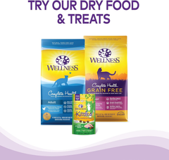 Wellness Complete Health Pate Adult Wet Cat Food, Natural, Protein-Rich, Grain Free (Turkey & Salmon)