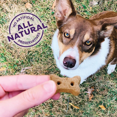 Old Mother Hubbard by Wellness Classic Original Mix Natural Dog Treats, Crunchy Oven-Baked Biscuits, Ideal for Training, Mini Size