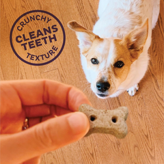 Old Mother Hubbard by Wellness Classic Original Mix Natural Dog Treats, Crunchy Oven-Baked Biscuits, Ideal for Training, Mini Size