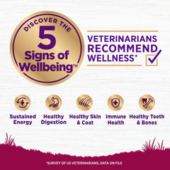 Wellness Complete Health Small Breed Adult Dry Dog Food with Grains and Real Turkey, Natural Ingredients, Omega Fatty Acids, and Probiotics, Made in USA