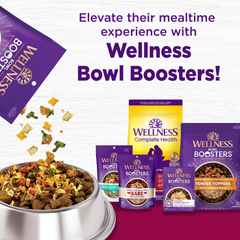 Wellness Complete Health Small Breed Adult Dry Dog Food with Grains and Real Turkey, Natural Ingredients, Omega Fatty Acids, and Probiotics, Made in USA