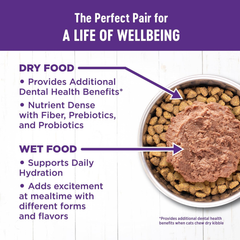 Wellness Complete Health Pate Adult Wet Cat Food, Natural, Protein-Rich, Grain Free(Turkey & Salmon)