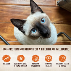 Wellness CORE Signature Selects Shredded Adult Wet Cat Food, Natural, Protein-Rich, Grain Free (Chicken & Turkey)