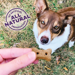 Wellness Old Mother Hubbard Original Mix Dog Biscuits, Natural, Training Treats, Four Flavors, Mini Size