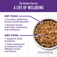 Wellness Complete Health Minced Adult Wet Cat Food, Natural, Protein-Rich, Grain Free