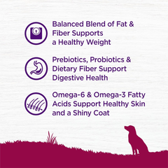 Wellness Complete Health Small Breed Dry Dog Food with Grains, Natural Ingredients, Made in USA with Real Turkey, For Dogs Up to 25 lbs (Adult, Healthy Weight Turkey & Rice)