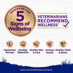 Wellness Complete Health Large Breed Dry Dog Puppy Food with Grains, Natural Ingredients, Made in USA with Real Meat (Puppy, Chicken, Salmon & Rice)