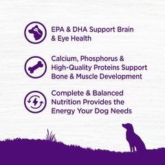 Wellness Complete Health Dry Puppy Food, Chicken, Salmon & Oatmeal