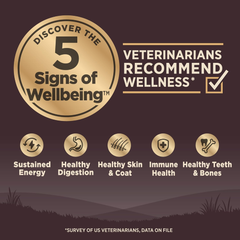 Wellness CORE Grain-Free Senior Dry Dog Food, Made in USA with Real Turkey and Natural Ingredients, With Nutrients for Immune, Joint, Skin & Coat Support
