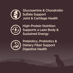 Wellness CORE Grain-Free Senior Dry Dog Food, Made in USA with Real Turkey and Natural Ingredients, With Nutrients for Immune, Joint, Skin & Coat Support