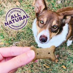 Old Mother Hubbard by Wellness Classic P-Nuttier Natural Dog Treats, Crunchy Oven-Baked Biscuits, Ideal for Training, Mini Size
