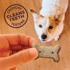 Old Mother Hubbard by Wellness Classic P-Nuttier Natural Dog Treats, Crunchy Oven-Baked Biscuits, Ideal for Training, Mini Size