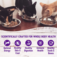 Wellness Complete Health Gravies Grain Free Chicken Dinner Wet Cat Food, Made with Real Chicken, Natural, Wholesome Nutrition