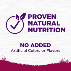 Wellness Complete Health Dry Dog Food, Small Breed, Grain Free, Natural, Turkey, Chicken, & Salmon Recipe