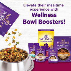 Wellness Complete Health Dry Dog Food, Small Breed, Grain Free, Natural, Turkey, Chicken, & Salmon Recipe