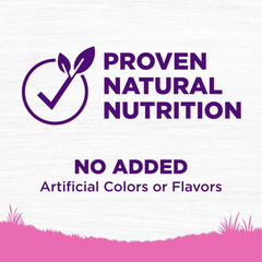 Wellness Complete Health Dry Dog Food for Small Dogs, Toy Breed, Wholesome Grains, Natural, Chicken, Brown Rice, & Peas Recipe