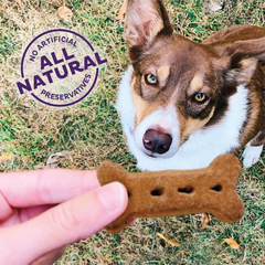 Old Mother Hubbard by Wellness Classic P-Nuttier Natural Dog Treats, Crunchy Oven-Baked Biscuits, Ideal for Training, Large Size