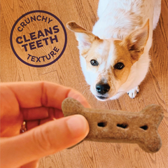 Old Mother Hubbard by Wellness Classic P-Nuttier Natural Dog Treats, Crunchy Oven-Baked Biscuits, Ideal for Training, Large Size