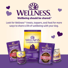 Old Mother Hubbard by Wellness Classic P-Nuttier Natural Dog Treats, Crunchy Oven-Baked Biscuits, Ideal for Training, Large Size