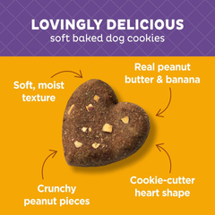Old Mother Hubbard Wellness Wholesome Indulgences Dog Biscuits, Natural, Dog Treats, Peanut Butter & Banana Flavor