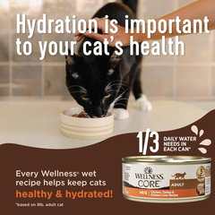 Wellness CORE+ Digestive Health Pate Adult Wet Cat Food, Natural, Protein-Rich, Grain Free (Chicken)
