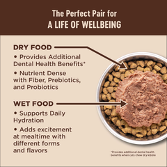 Wellness CORE+ Digestive Health Pate Adult Wet Cat Food, Natural, Protein-Rich, Grain Free (Chicken)