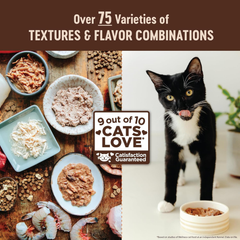 Wellness CORE+ Digestive Health Pate Adult Wet Cat Food, Natural, Protein-Rich, Grain Free (Chicken)