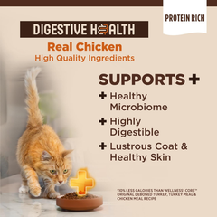 Wellness CORE+ Adult Dry Cat Food for Indoor and Outdoor Cats, Wholesome Grains, Natural, Digestive Health Chicken & Rice