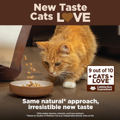 Wellness CORE+ Adult Dry Cat Food for Indoor and Outdoor Cats, Wholesome Grains, Natural, Digestive Health Chicken & Rice