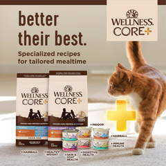 Wellness CORE+ Adult Dry Cat Food for Indoor and Outdoor Cats, Wholesome Grains, Natural, Digestive Health Chicken & Rice