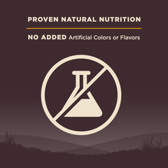 Wellness CORE Grain-Free High-Protein Small Breed Dry Dog Food, Natural Ingredients, Made in USA with Real Meat (Puppy, Turkey)